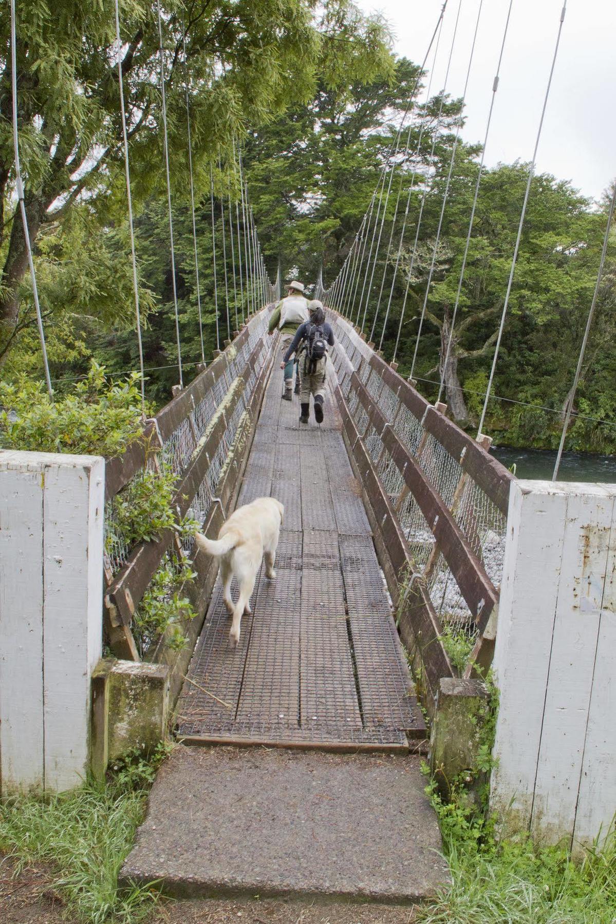 Turangi Trout Lodge 외부 사진